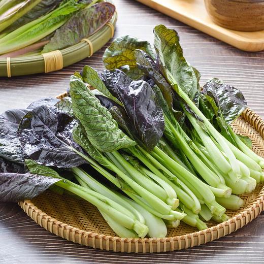 放心紫叶上海青 250g/袋 商品图0