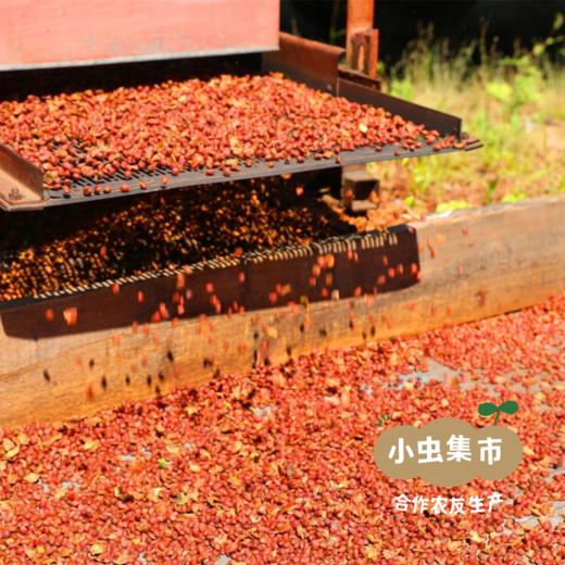 大兴安岭野生偃松仁 125g/袋（松子仁） | 合作农友生产，产自黑龙江大兴安岭，生产者：柳树 &【公平贸易农人定价】 商品图10