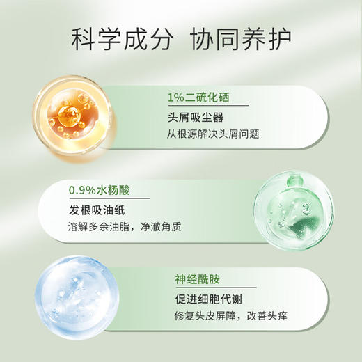 【保税仓直发】VICHY薇姿DS绿标洗发水390ml 商品图2