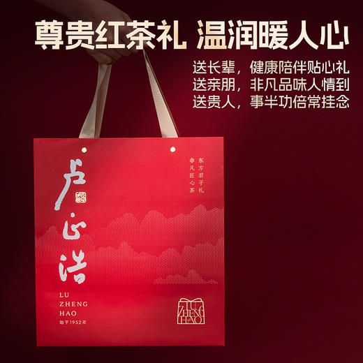 卢正浩金骏眉特级红茶武夷山正宗高端伴手礼茶叶礼盒装年货送长辈 商品图3