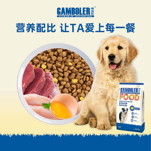 麦富迪乖宝乐全价幼犬粮（添加牛肉蛋黄）2kg/袋 商品图3