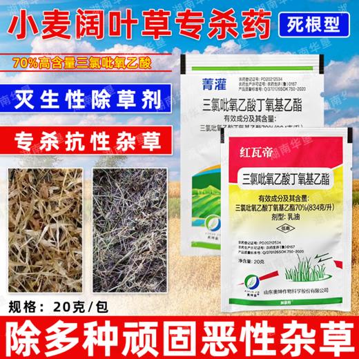 70%三氯吡氧乙酸除灌木藤蔓水花生阔叶杂草专用小麦甘蔗田除草剂 商品图3