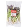 放心紫叶油麦菜 300g/袋 商品缩略图2