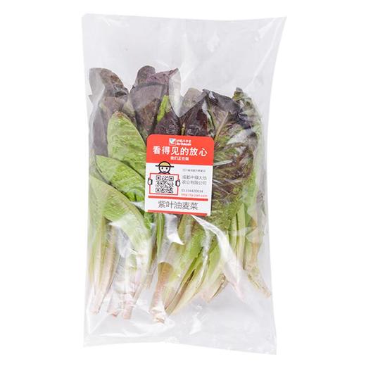 放心紫叶油麦菜 300g/袋 商品图2