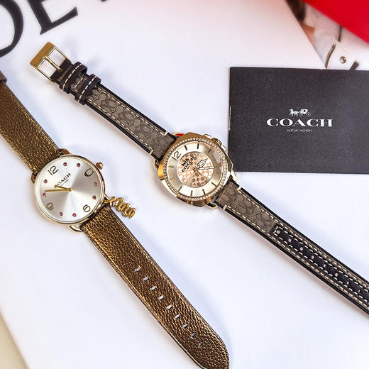 【蛇年热卖 拍一发五】COACH/蔻驰ELLIOT新年系列中国蛇年限定生肖腕表鸿运蛇表 商品图6