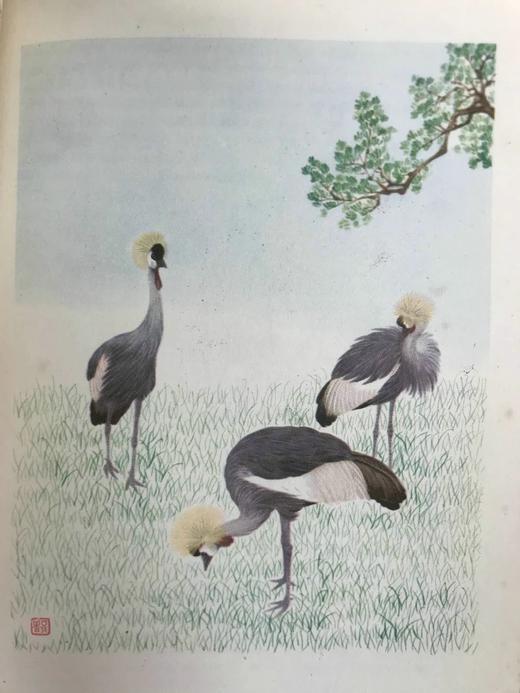 作者签赠本！1953年 蒋彝《都百灵画记》 16幅彩色与大量黑白文间插图 精装大32开 商品图10
