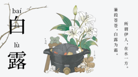 露从今夜白