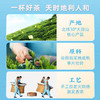2025新茶上市徽六绿茶六安瓜片一级寻味300口粮春茶茶叶200g 商品缩略图3