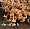 【通江扶贫】通江县深山良品茶树菇250g 商品缩略图2