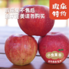 妙耕有机瑕疵苹果特卖 4.5-5斤 | 合作农友生产，产自陕西千阳，生产者：张家祯 *【公平贸易农人定价】无法售后理赔，售出后不退换货，对瑕疵在意的勿拍 商品缩略图9