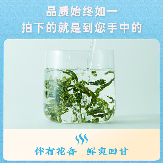 2025新茶上市徽六春茶特一六安瓜片绿茶茶叶250g潜香2000系列 商品图3