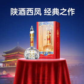 华山论剑西凤酒10年45度珍酿礼盒装  凤香型粮食白酒  百亿西凤代表之作