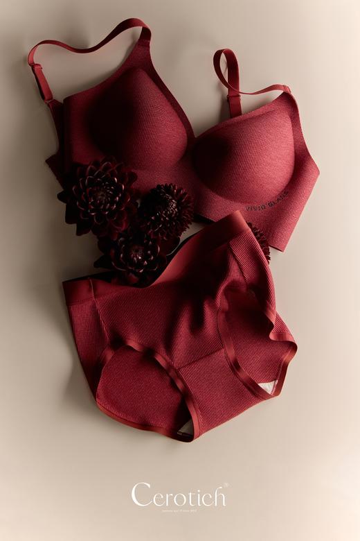 【12.7王炸割肉价】Cerotich山茶花内衣套装女果冻软支撑无钢圈提拉聚拢  奶酪白/香草绿/安可拉红/豆沙粉/魅力黑  M/L/XL 商品图3