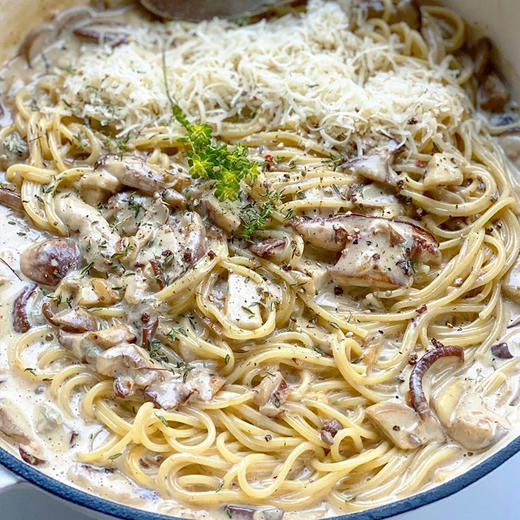 宝立牛肝菌调味酱1kg餐厅商用冷冻意式意大利面菌菇酱家乐焗饭酱 商品图4