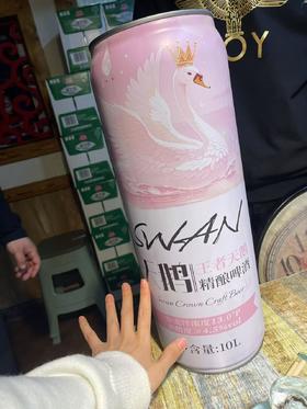 天鹅王冠啤酒一桶