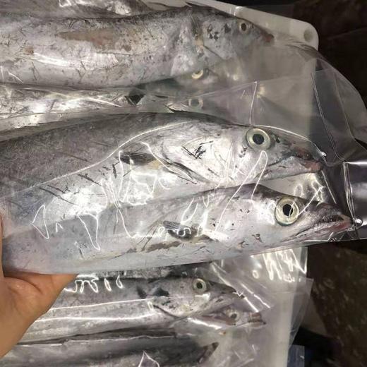 石家庄优选仓库速达，2025年浙江舟山雷达网小眼睛野生带鱼  净重5斤/10条礼盒装 商品图1