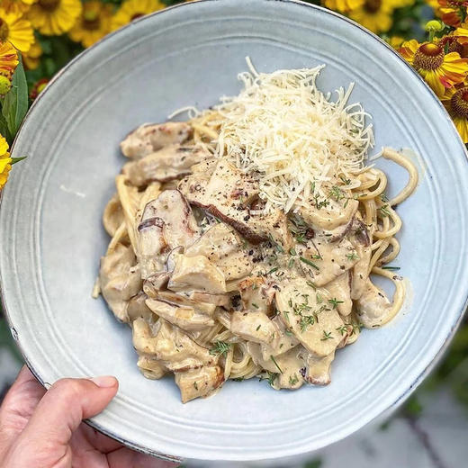 宝立牛肝菌调味酱1kg餐厅商用冷冻意式意大利面菌菇酱家乐焗饭酱 商品图3