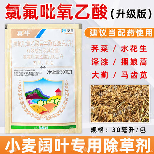 氯氟吡氧乙酸小麦阔叶杂草猪秧秧水花生空心莲子草专用除草剂正品 商品图2