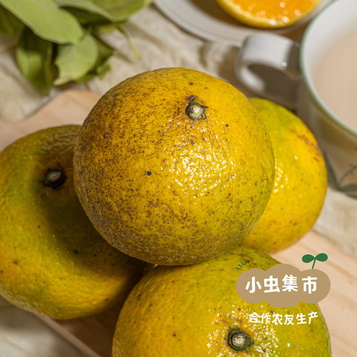 生态甜春桔柚 5斤 | 合作农友生产，产自福建南平，生产者：江禄 *【公平贸易农人定价】 商品图2
