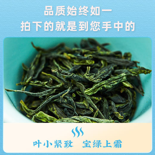 2025新茶上市徽六春茶特一六安瓜片绿茶茶叶250g潜香2000系列 商品图2