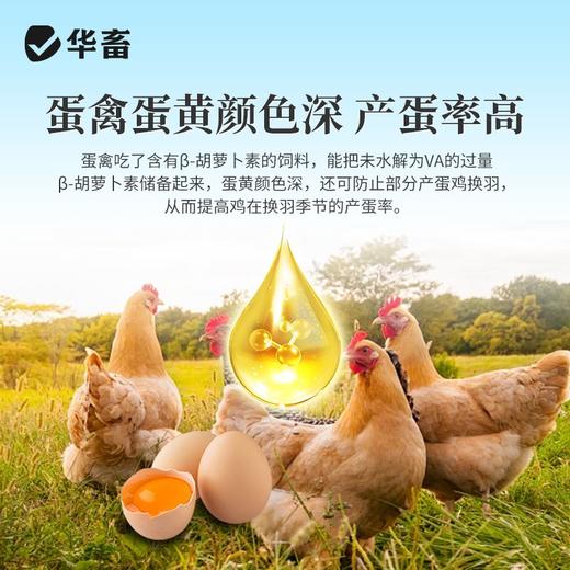 兽用β-胡萝卜素微粒粉禽畜鸡鸭鹅奶羊奶牛母猪种禽饲料添加剂 商品图4