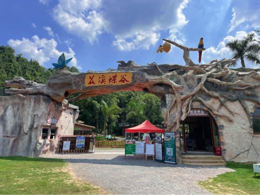 【2024走读湾区】绿美——领略自然绿美（竹洞村、蝴蝶谷） 商品图3