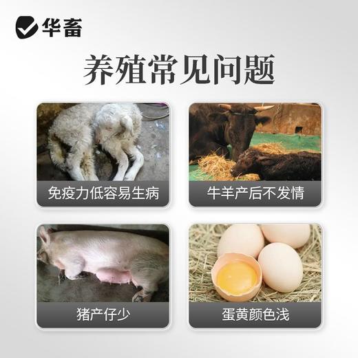 兽用β-胡萝卜素微粒粉禽畜鸡鸭鹅奶羊奶牛母猪种禽饲料添加剂 商品图1