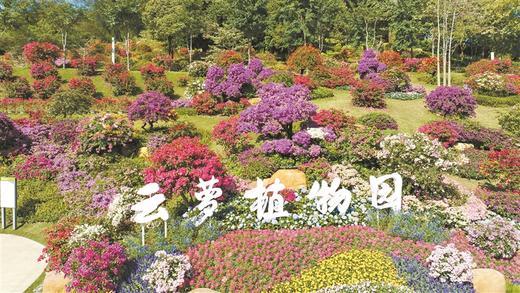 【2024走读湾区】绿美——领略自然绿美（流花湖公园、云萝植物园） 商品图0