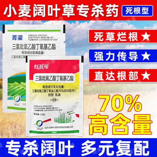 70%三氯吡氧乙酸除灌木藤蔓水花生阔叶杂草专用小麦甘蔗田除草剂 商品图2