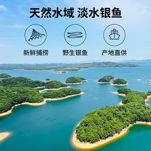 拾爸家⠀冻银鱼 天然水域 淡水银鱼 无刺无鳞 140g/袋 商品图4