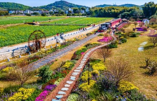 【2024走读湾区】爱国——探寻红色印记（广州市国防教育中心、迳下村红色基地） 商品图1