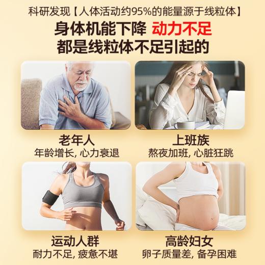 【S】挪威进口Noromega辅酶PQQ60粒 商品图1