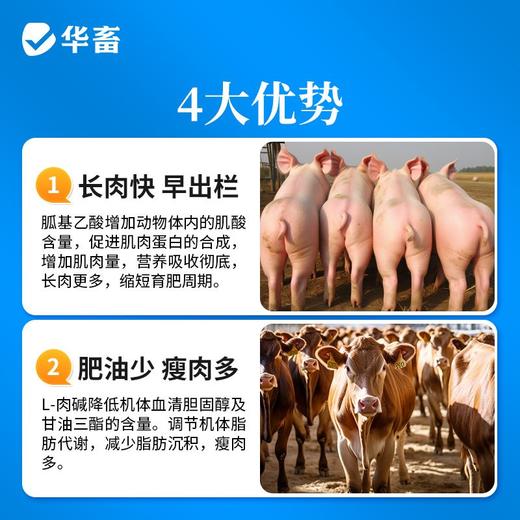 【积分兑换】华畜胍基乙酸牛羊猪增肥增重催肥拉大骨架提高瘦肉率饲料添加剂 商品图2