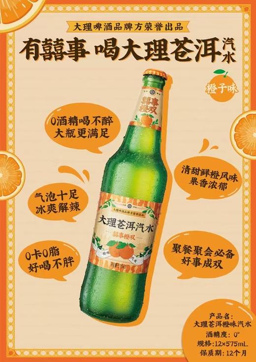 大理苍洱汽水 商品图0