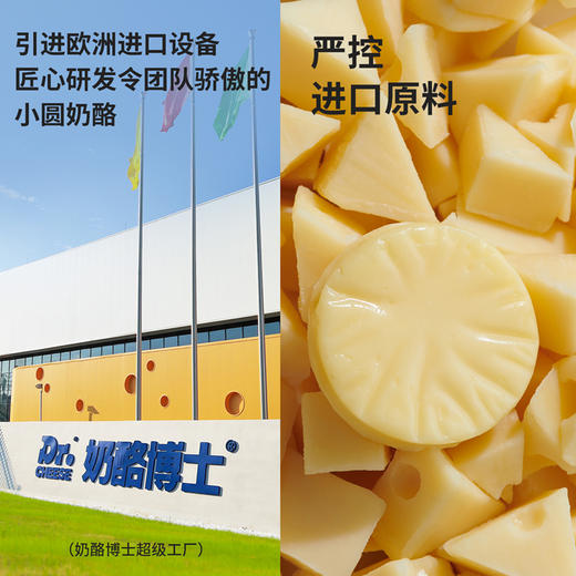 【代发】Dr.Cheese 奶酪博士 白金双护双易奶酪棒/小圆奶酪/奶酪片 商品图4