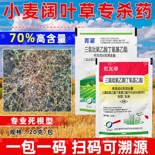70%三氯吡氧乙酸除灌木藤蔓水花生阔叶杂草专用小麦甘蔗田除草剂 商品图4