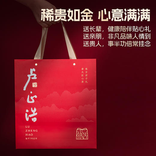 卢正浩明前特级龙井高端茶叶礼盒装杭州绿茶年货送礼送长辈 商品图3
