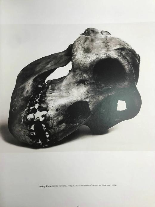 艾伦·西格尔摄影图集 118幅插图（16幅彩色） 精装大16开 商品图14