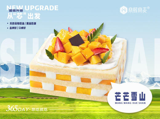 芒芒雪山蛋糕【8~10英寸】 商品图0