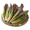 放心紫叶油麦菜 300g/袋 商品缩略图4
