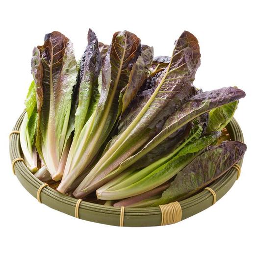 放心紫叶油麦菜 300g/袋 商品图4