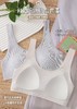 LS竹纤维二阶段少女文胸5389 商品缩略图3
