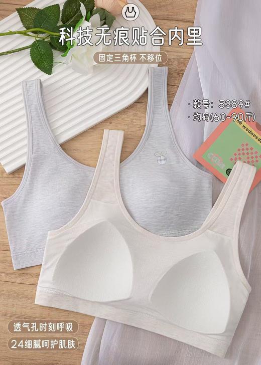 LS竹纤维二阶段少女文胸5389 商品图3