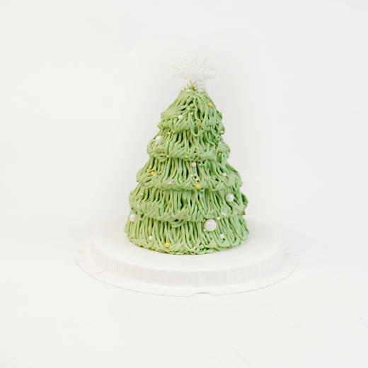 开心果圣诞树 4寸 商品图0