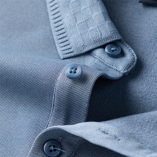 罗蒙男士Polo衫秋冬保暖含羊毛蚕丝双面磨毛时尚凹凸工艺polo衫男长袖t恤男 商品图6