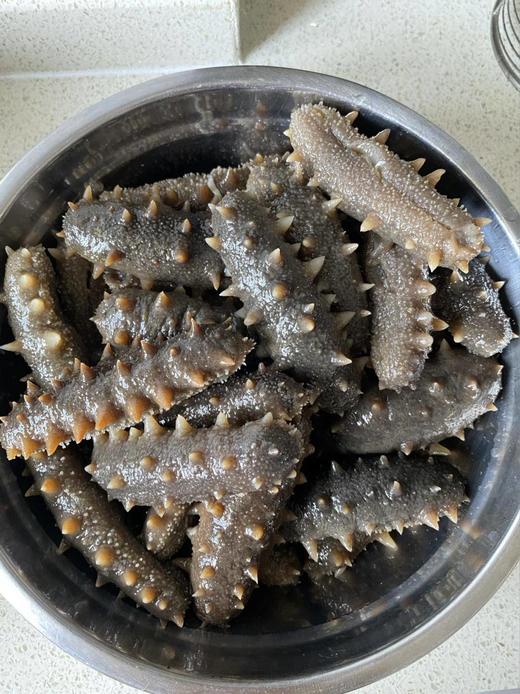 【分仓直发包邮】即食海参系列500g（15头左右） 商品图1
