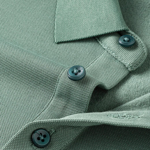 罗蒙男士秋冬保暖长袖Polo衫绣花商务含羊毛蚕丝双面磨毛polo衫男长袖t恤男 商品图6