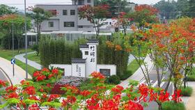 【2024走读湾区】绿美——领略自然绿美（竹洞村、蝴蝶谷）