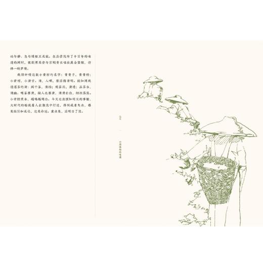 【限量典藏木盒版】中国植物的味道 商品图4