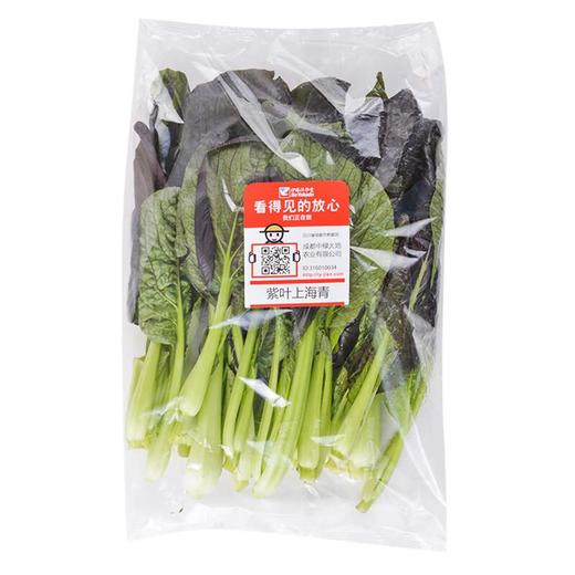 放心紫叶上海青 250g/袋 商品图3